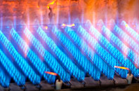 Lyne gas fired boilers